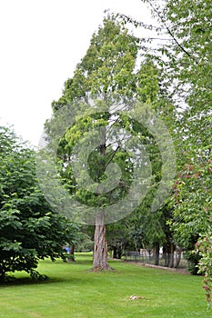 Park in the Resort Bad Pyrmont, Lower Saxony