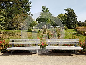 Benches for rest in the park against the background of beds of flowers