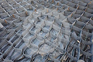 Park road made of geogrid between lawns with green grass. Closeup. Diagonal photo