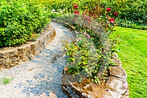 Park Rose Garden Path