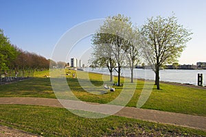 Park in Rotterdam