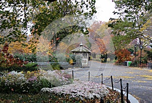 in the park's streets and trails, the colors create a unique atmosphere
