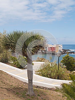 Park and sailors houses over sea