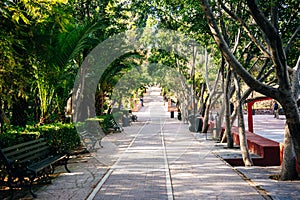 Park in San Miguel de Allende, Guanajuato, Mexico