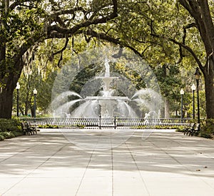 Park in Savannah, Georgia photo