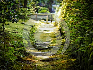 Park scene in sunny Kyoto