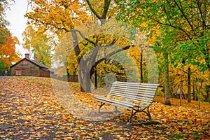 Park scenery in october