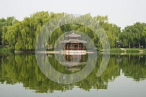 Park scenery, willow, willow, pavilion, the reflec
