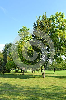 Park of the Sculptural Ensemble of Constantin BrÃ¢ncuÈ™i at TÃ¢rgu Jiu