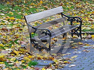 Park Seat in Autumn