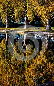 A park seat on a a utum morning with relfections in the water