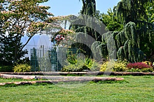 Park at the Seattle Center, Washington