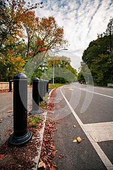 Park side street and bike lane setting autumn trees and leaves environment