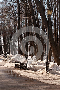 A park sidewalk with a lonely streetlamp and a bench. An early spring with lots of snow melting down. A bunch of dark leafless