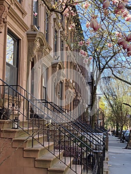 Park Slope, Brooklyn, New York City, USA photo