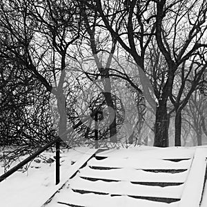 Park during snowstorm