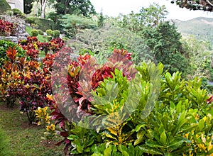 Park of Soroa (Jardin Botanico Orquideario Soroa), Cuba.