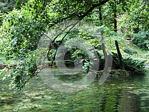 Park and source of Bosna River