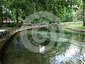 Park and source of Bosna River