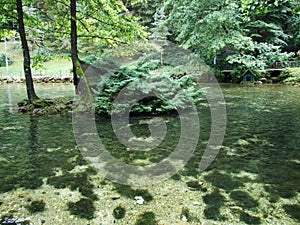 Park and source of Bosna River