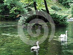 Park and source of Bosna River