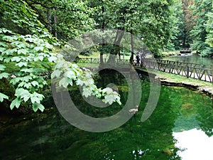 Park and source of Bosna River