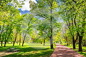 Park in the spring with green lawn, sun light. Stone pathway in