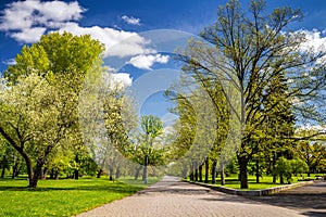 Park in the spring with green lawn, sun light. Stone pathway in