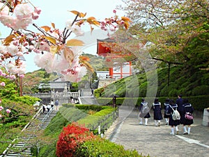 Park in springtime in Kyoto