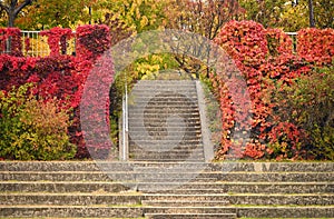 Park staircase detail in Vienna autumn