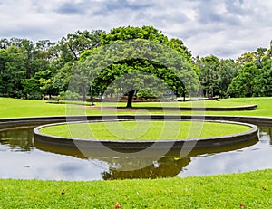 Park in summer with a circular lake.