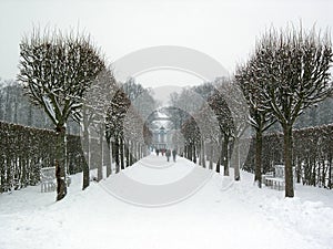 The park surrounding the Catherine Palace, in Tsarskoye Selo Pushkin, Saint Petersburg, Russia, in wintertime