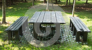 Park table