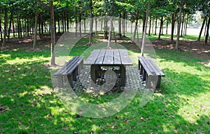 Park table