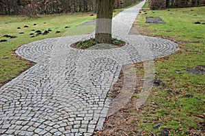 In the park there is a path surrounding a tree growing directly in the compositional axis of the historic garden. The cobblestones