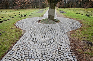 In the park there is a path surrounding a tree growing directly in the compositional axis of the historic garden. The cobblestones