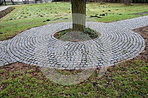 In the park there is a path surrounding a tree growing directly in the compositional axis of the historic garden. The cobblestones