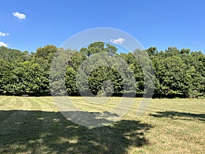 The park of the Tikves Castle in Kopacki rit Nature park or Park next to Tito`s castle - Lug, Croatia / Park uz dvorac TikveÅ¡