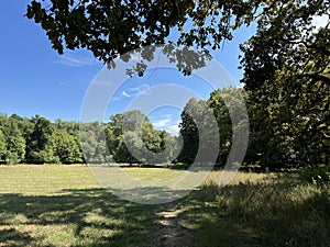 The park of the Tikves Castle in Kopacki rit Nature park or Park next to Tito`s castle - Lug, Croatia / Park uz dvorac TikveÅ¡