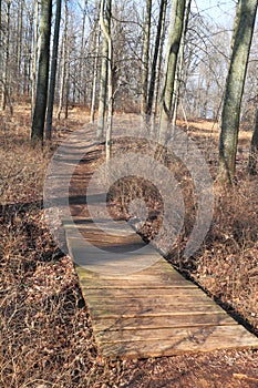 Park Trail with Bridge