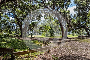 Park trail at Crews Lake Wilderness Park, Florida