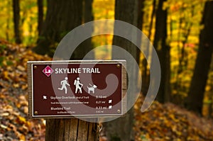 Park trail sign in an autumn forest