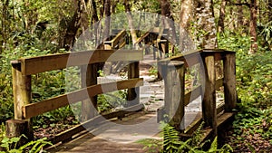 Park trail wooden bridges