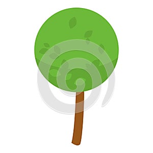 Park tree icon, isometric style