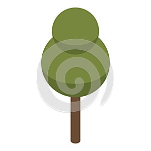 Park tree icon, isometric style