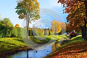 A park with trees in autumn on a bright sunny day. Autumn Park in Russia.