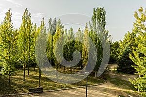 Park with trees and benches along riverbank