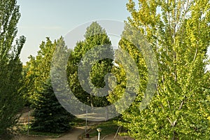 Park with trees and benches along riverbank