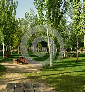 Park with trees and benches along riverbank