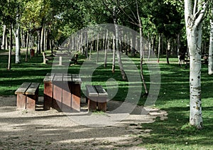 Park with trees and benches along riverbank